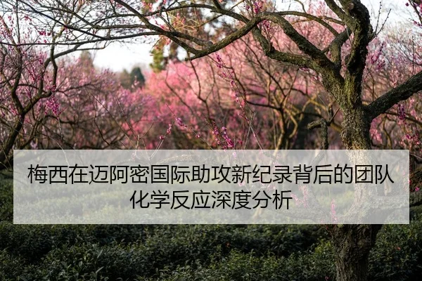 梅西在迈阿密国际助攻新纪录背后的团队化学反应深度分析